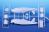 SH32058 Fiat G.50bis /Люфтваффе та Хорватські ВПС/ 1/32