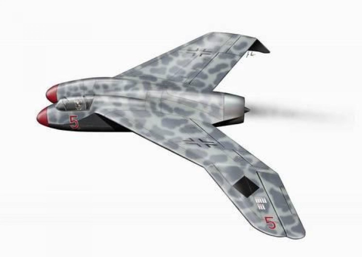 PLT169 Heinkel P.1078B