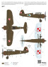A112 PZL P.11c /First Shots/