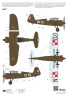A112 PZL P.11c /First Shots/