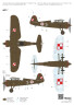 A112 PZL P.11c /First Shots/