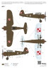 A112 PZL P.11c /First Shots/