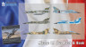 SH72414 Mirage F.1 Подвійний комплект та книга 1/72