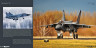 DH012 Mіг-31 Foxhound