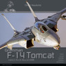 DH037 Grumman F-14 Tomcat