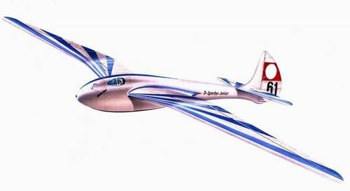 PLT132 Планер DFS Sperber Junior