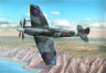 100-SH48107 Supermarine Spitfire Mk.XII 1/48